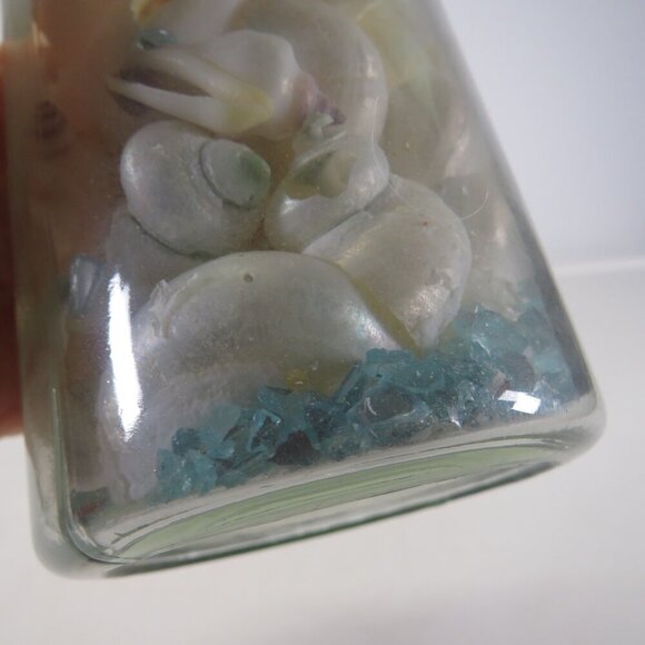 Jar of REAL white sea shells w dried red sea fan, Glass w cork lid (over 1 pound - Picture 7 of 10